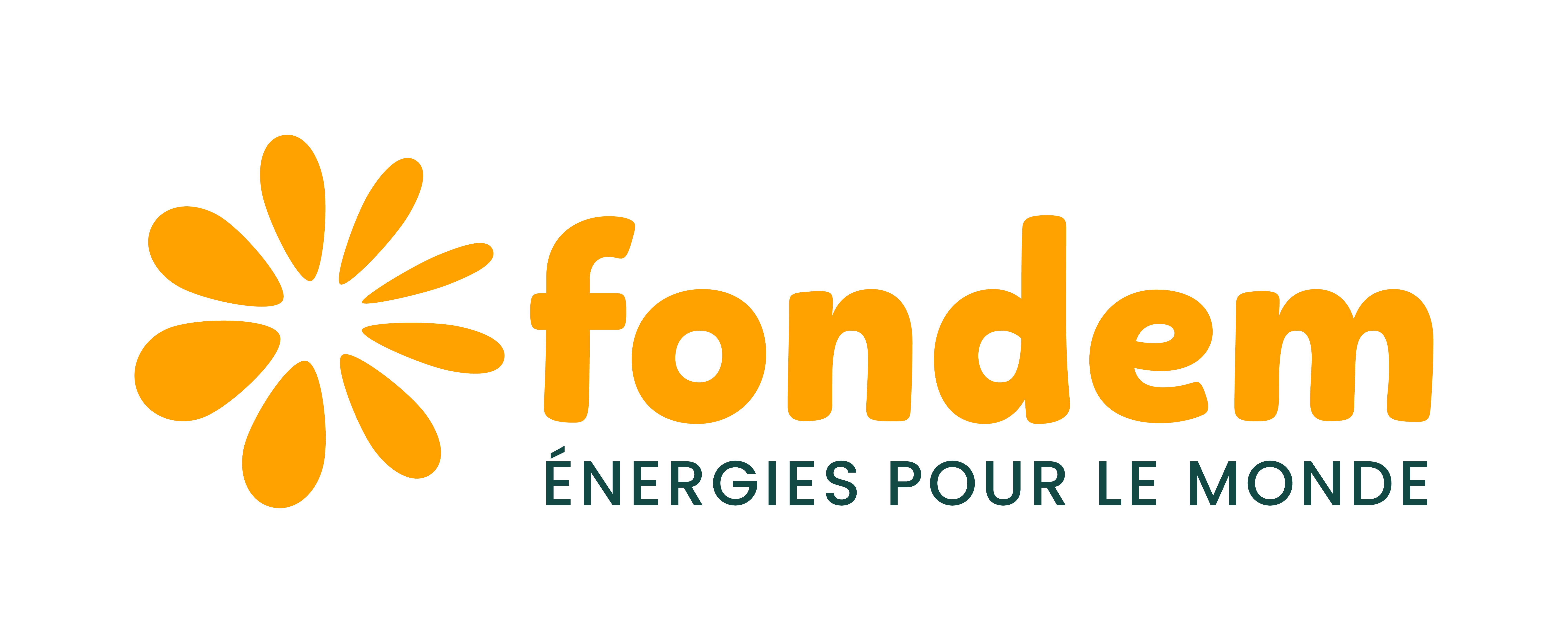 Logo FONDEM