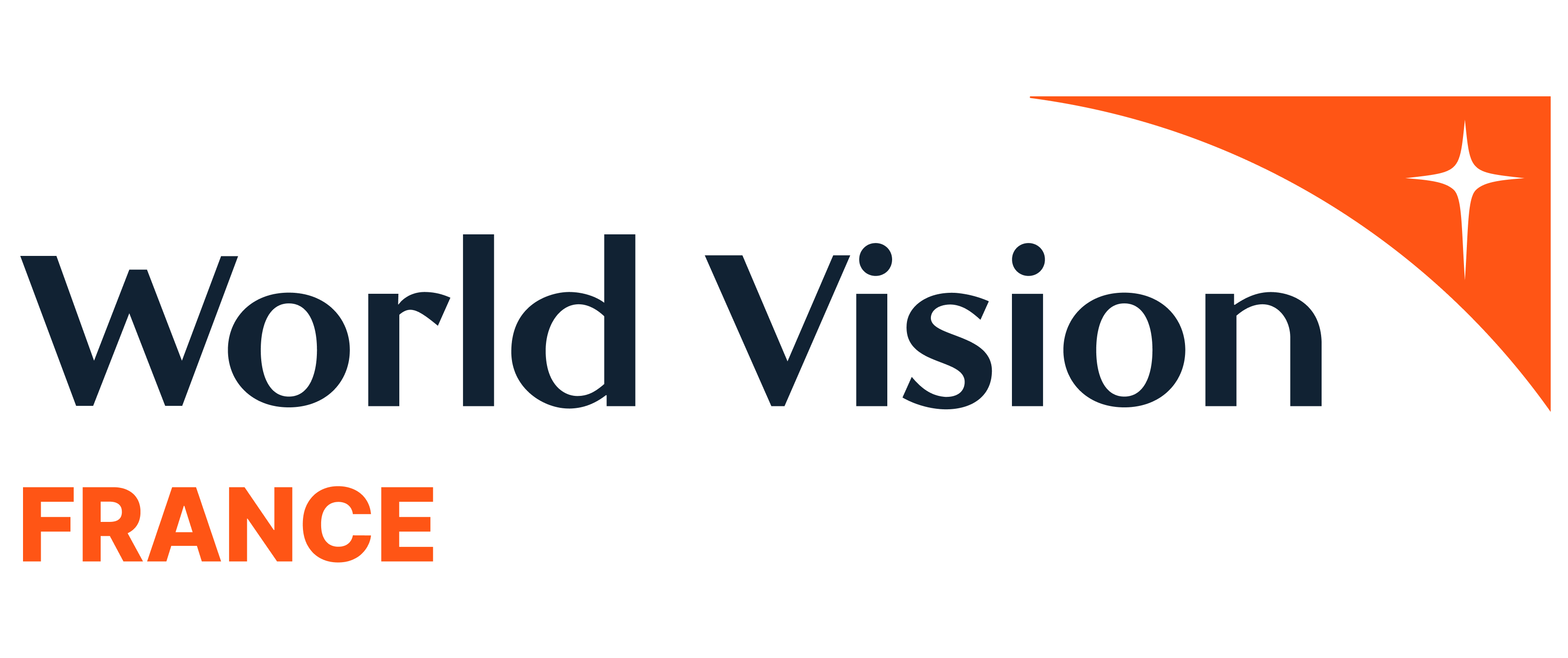 Logo World Vision France